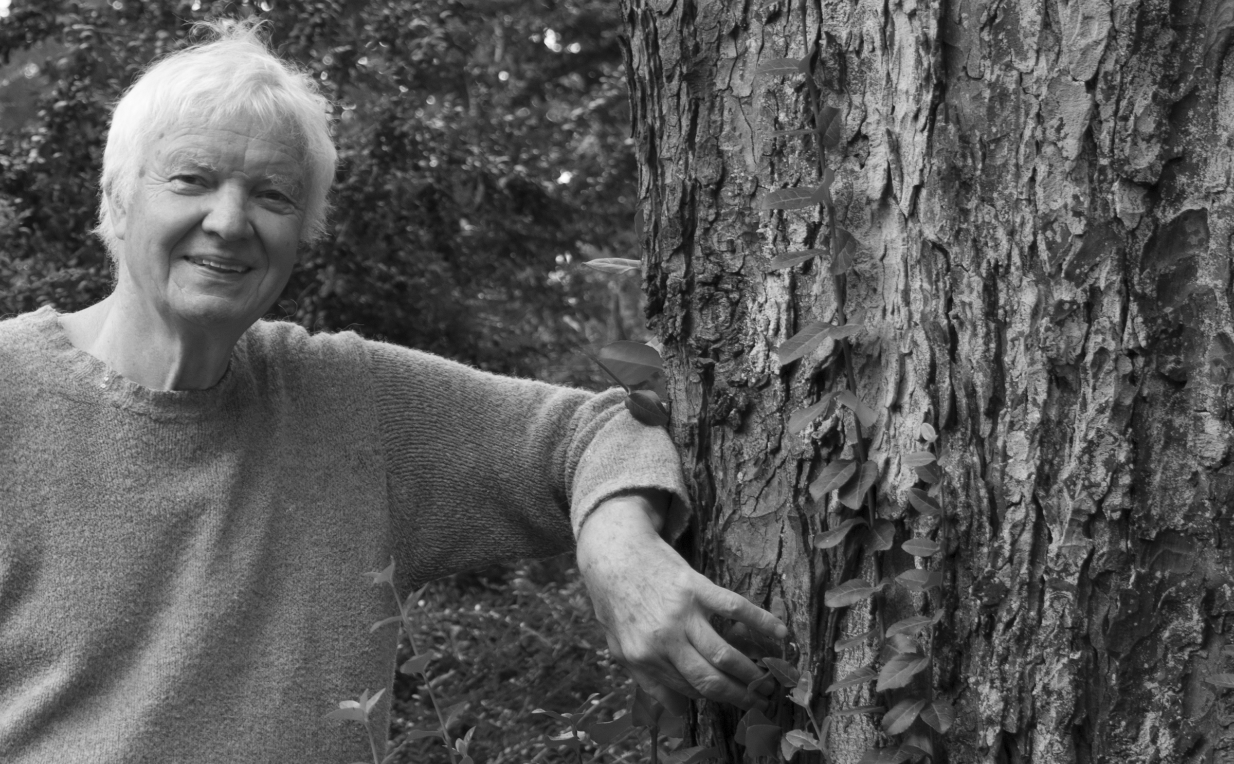 Portraitfoto, Archiv Frosting